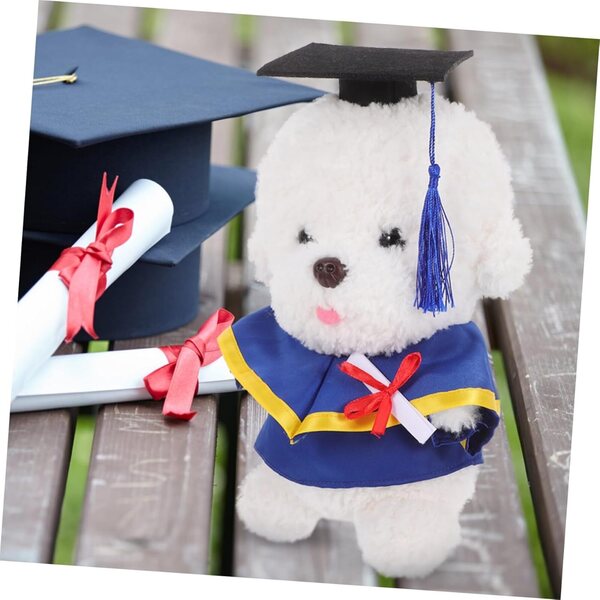 Costume di Remise des Diplôme per Bambole Ours con Cappello e Certificato Miniatura