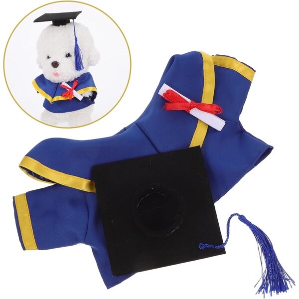 Costume di Remise des Diplôme per Bambole Ours con Cappello e Certificato Miniatura