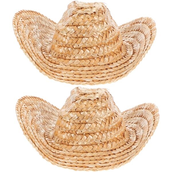 Mini cappelli di paglia da cowboy per animali e bambole EPIGEIST, 2 pezzi