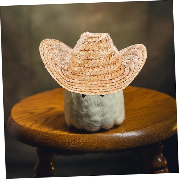 Mini cappelli di paglia da cowboy per animali e bambole EPIGEIST, 2 pezzi