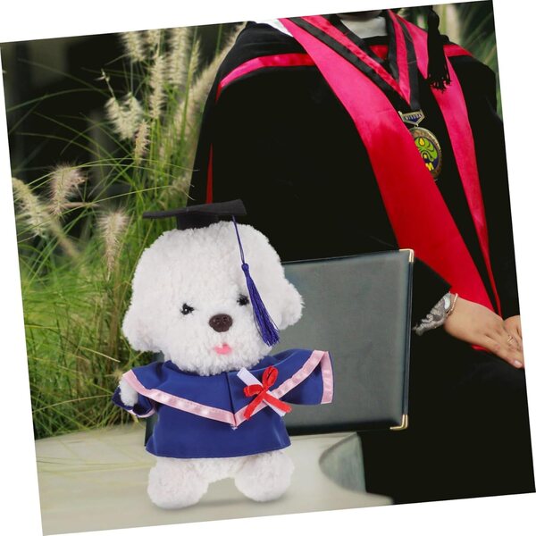 Costume in peluche per diploma con vestito, cappello e certificato per bambole 30 cm
