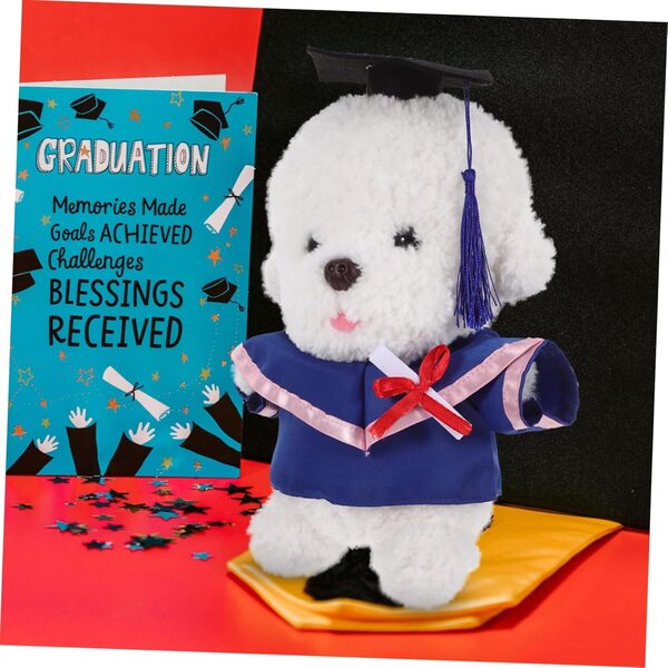 Costume in peluche per diploma con vestito, cappello e certificato per bambole 30 cm