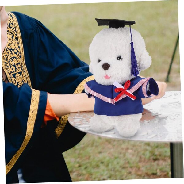 Costume in peluche per diploma con vestito, cappello e certificato per bambole 30 cm