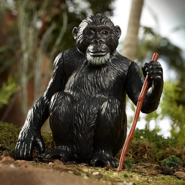 Barbie Jane Goodall: inspirierende Heldin-Puppe in limitierter Auflage
