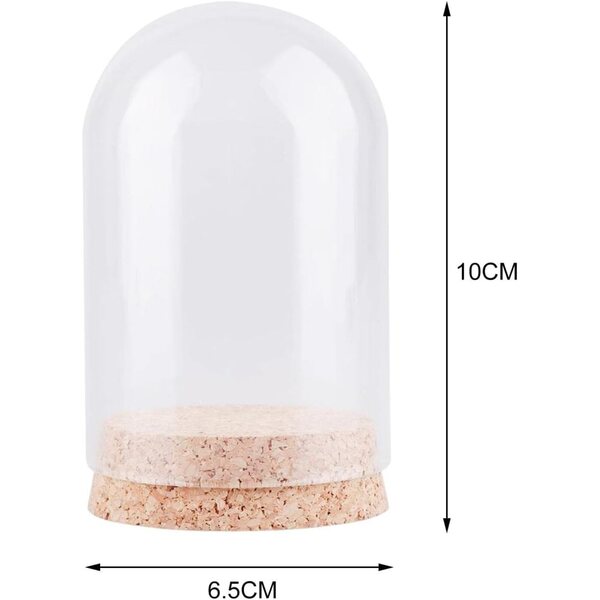 Colcolo 10 Dôme in Vetro Trasparente con Base in Sughero per Esposizione Decorativa